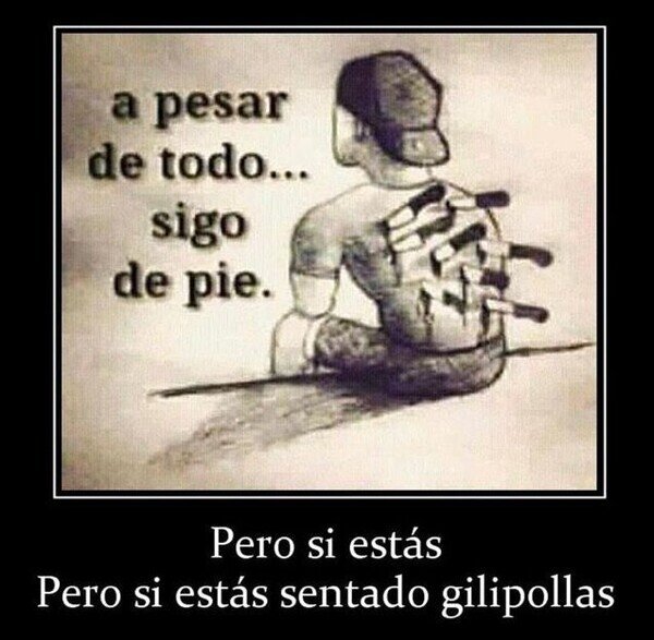 Meme_otros - A pesar de todo...