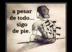 Enlace a A pesar de todo...