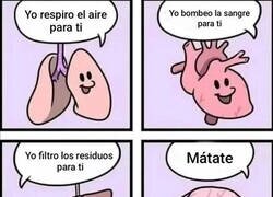 Enlace a Lo que aporta cada órgano