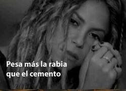 Enlace a Shakira nunca ha levantado uno de esos sacos