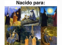 Enlace a Yo no nací para esto