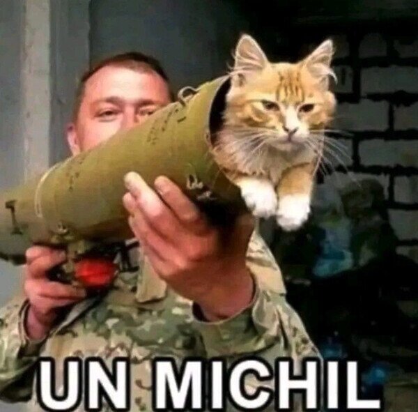 misil,gato,michi,tontería