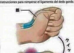 Enlace a No lo pruebes, no lo pruebes...