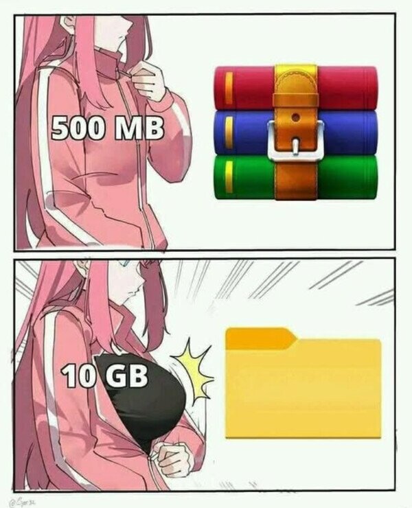 Meme_otros - Por eso se llama ZIP