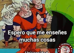 Enlace a Lo que me enseñó la universidad