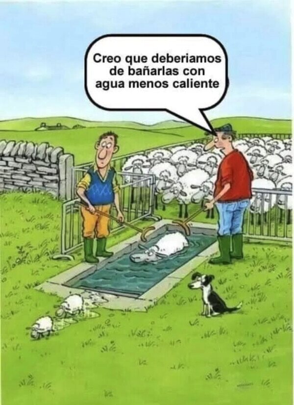 Meme_otros - Cuando te encoge el rebaño
