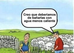 Enlace a Cuando te encoge el rebaño