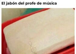 Enlace a Hasta sus pelos son musicales