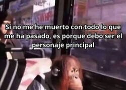 Enlace a La trama debe dejar mucho que desear