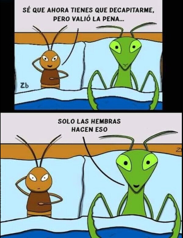 Meme_otros - No sé si es buena o mala noticia...