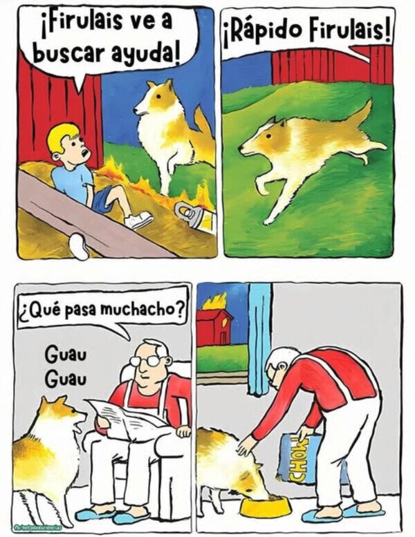 Meme_otros - El Firulais mira por lo suyo