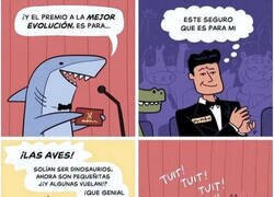 Enlace a Premio a la mejor evolución