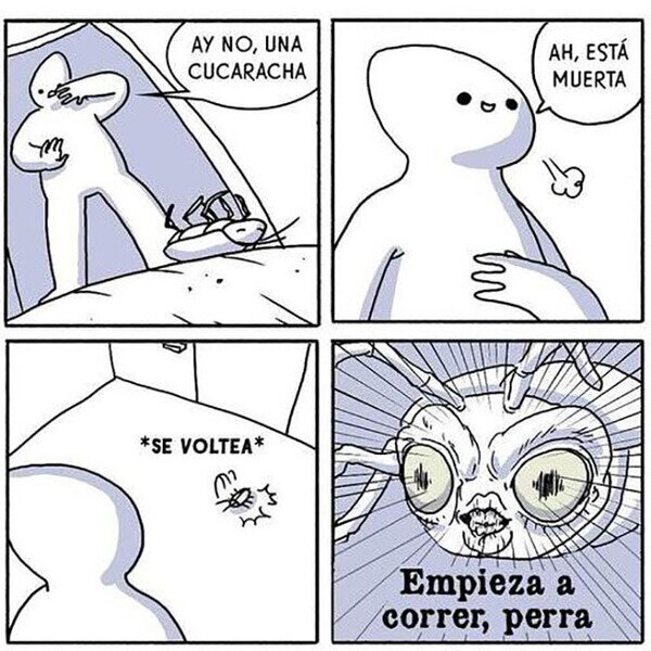 cucaracha,girar,muerta,correr