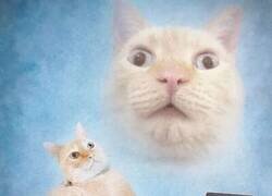 Enlace a Dura vuelta al trabajo