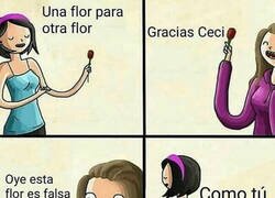 Enlace a Una flor para otra flor