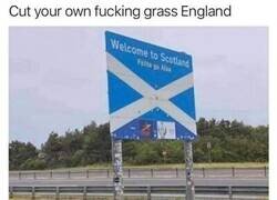 Enlace a Los ingleses son unos dejados