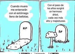 Enlace a Mi última voluntad