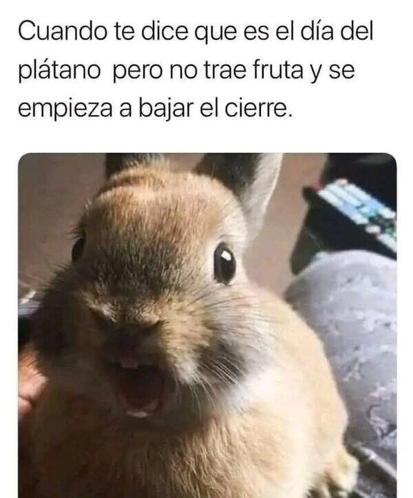 Meme_otros - El día del plátano