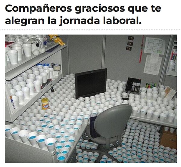Otros - A ver cómo recojo todo esto...