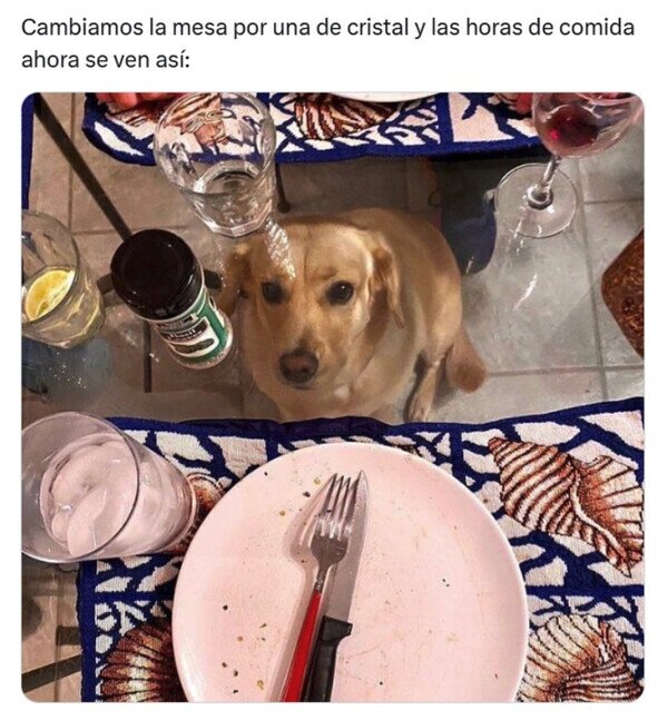 Otros - Siempre se queda ahí esperando algo
