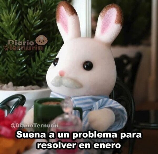 Meme_otros - Hasta después de Navidad no quiero saber nada