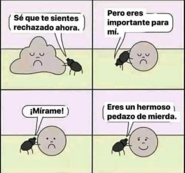 Meme_otros - Solo te falta encontrar a tu bicho pelotero