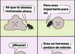 Enlace a Solo te falta encontrar a tu bicho pelotero