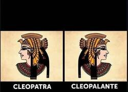 Enlace a La tontería del día
