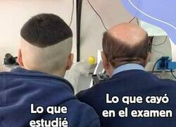 Enlace a Para tirarse de los pelos