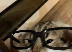 Enlace a Se lo diagnosticaron