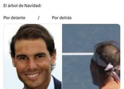 Enlace a El árbol de Nadal