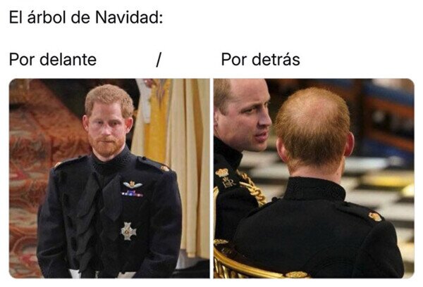 Omg_run - El árbol de Harry