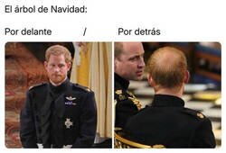 Enlace a El árbol de Harry