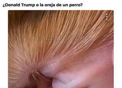 Enlace a Pregunta difícil