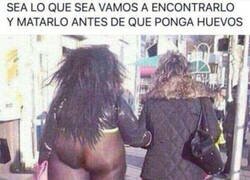 Enlace a ¿Qué es ese animal?