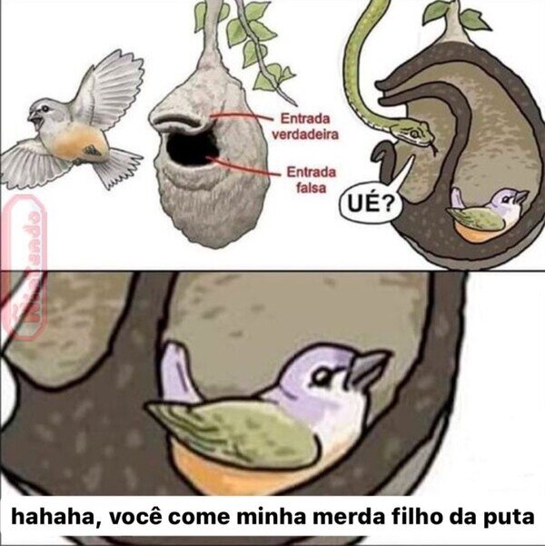 Meme_otros - El meme en el idioma correcto