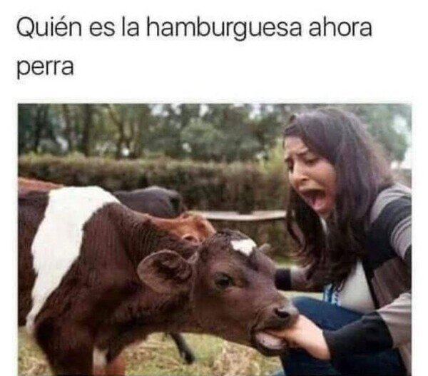 Meme_otros - Cambio de roles