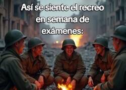 Enlace a Tal cual