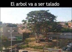 Enlace a En fin, la hipocondríaca...