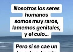 Enlace a Así somos los humanos