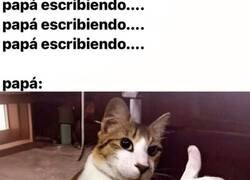 Enlace a Cuando tu padre te escribe