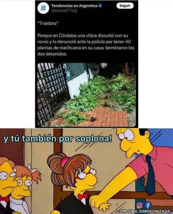 Meme_otros - No soporto a los chivatos