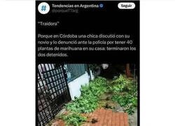 Enlace a No soporto a los chivatos
