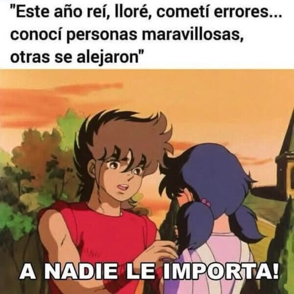 Meme_otros - Lo que me importa el resumen de tu año