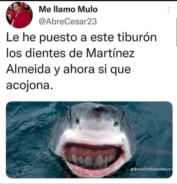 Meme_otros - A cualquiera que se los pongas