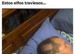 Enlace a Ha sido un elfo...