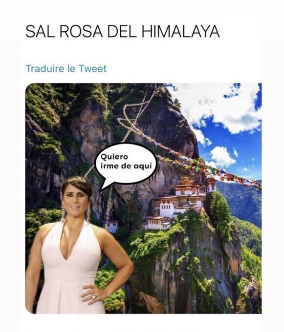 Meme_otros - La tontería del día