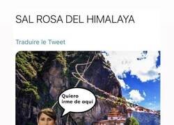 Enlace a La tontería del día