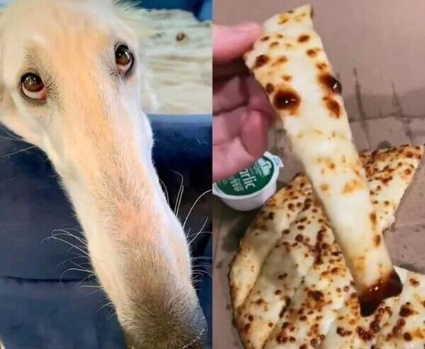 Meme_otros - Ahora me da pena comer pizza