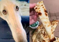 Enlace a Ahora me da pena comer pizza